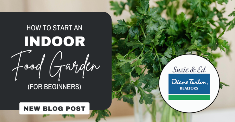 How to Start an Indoor Food Garden (for Beginners)